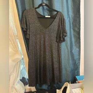 Dear Apple Black and Silver A-Line Dress with Flutter Sleeves.